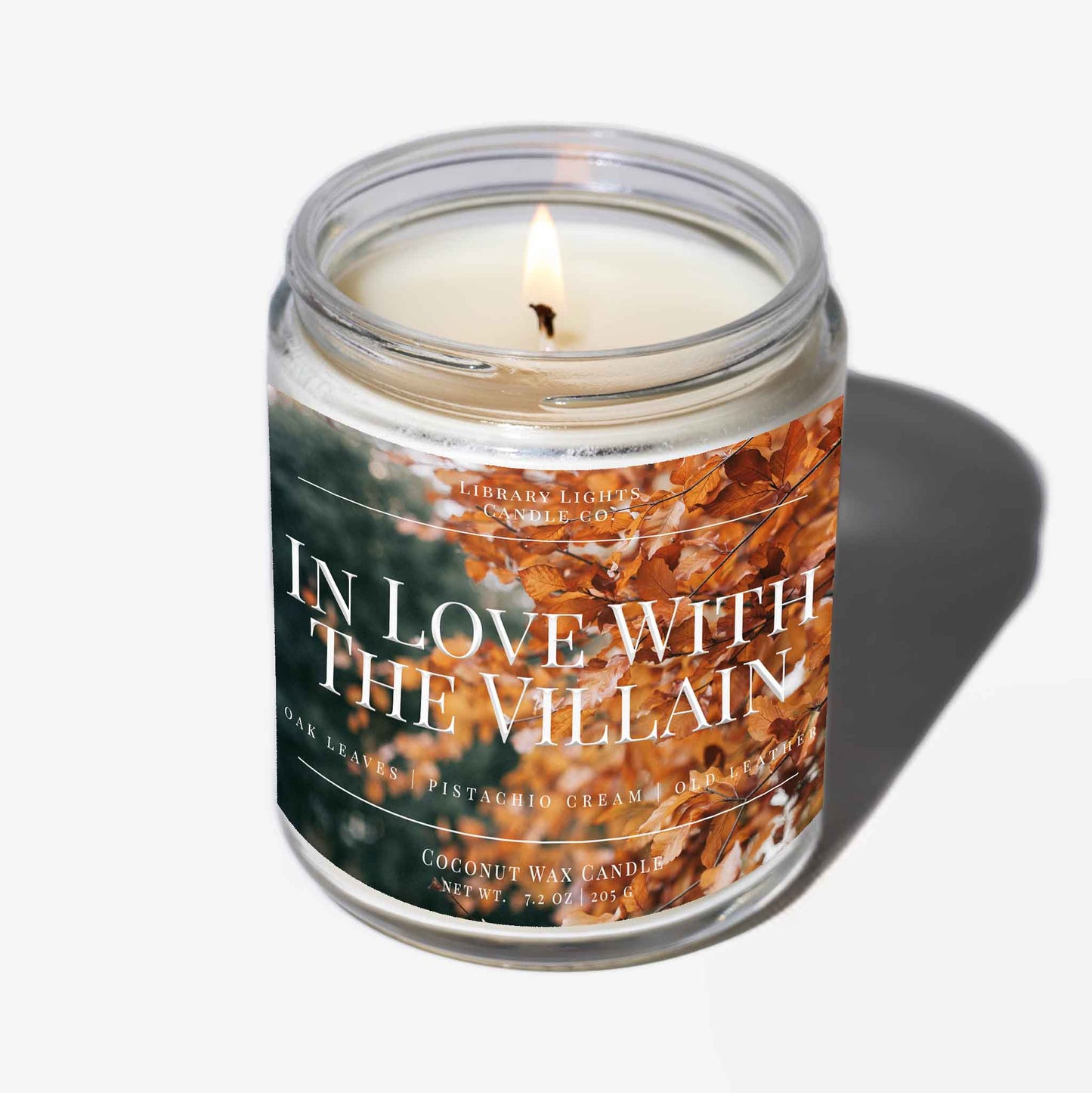 8oz Jar Candle - In Love With The Villain