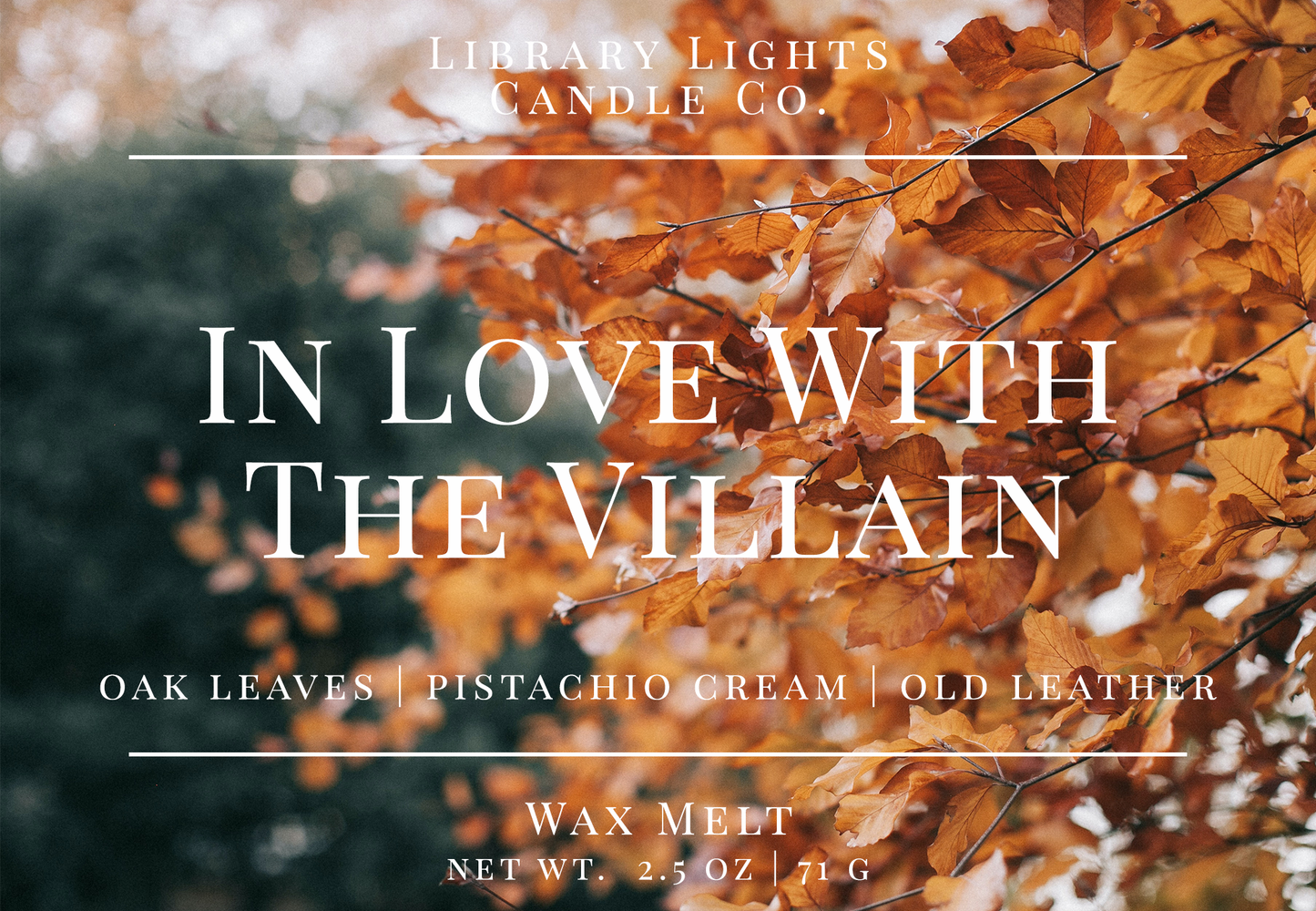 Wax Melt - In Love With The Villain