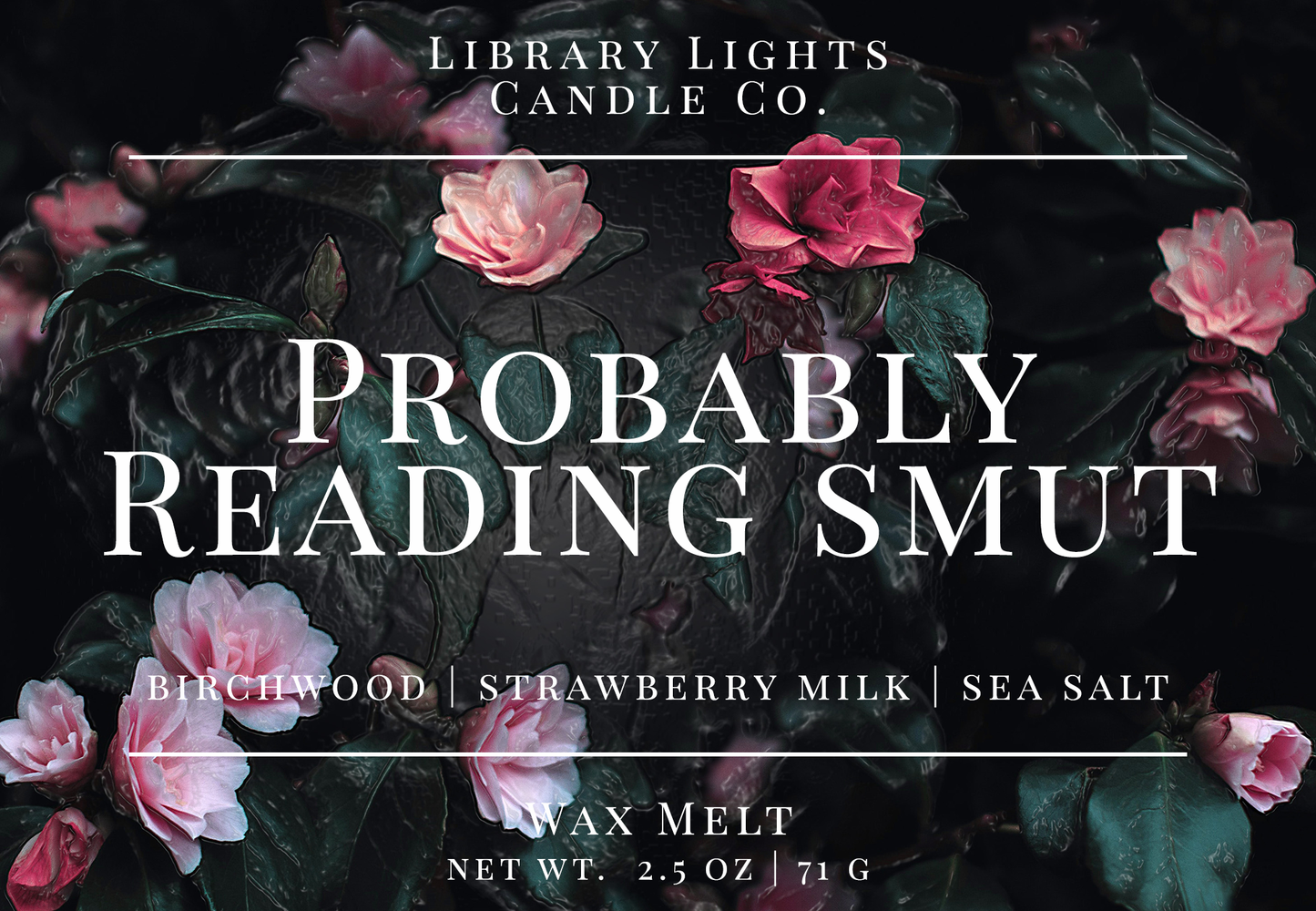Wax Melt - Probably Reading Smut