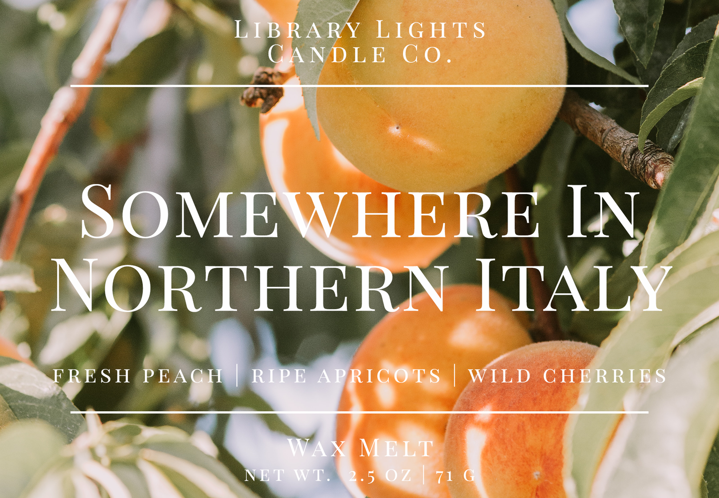 Wax Melt - Somewhere In Northern Italy