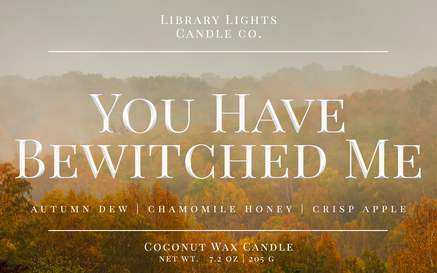 8oz Jar Candle - You Have Bewitched Me