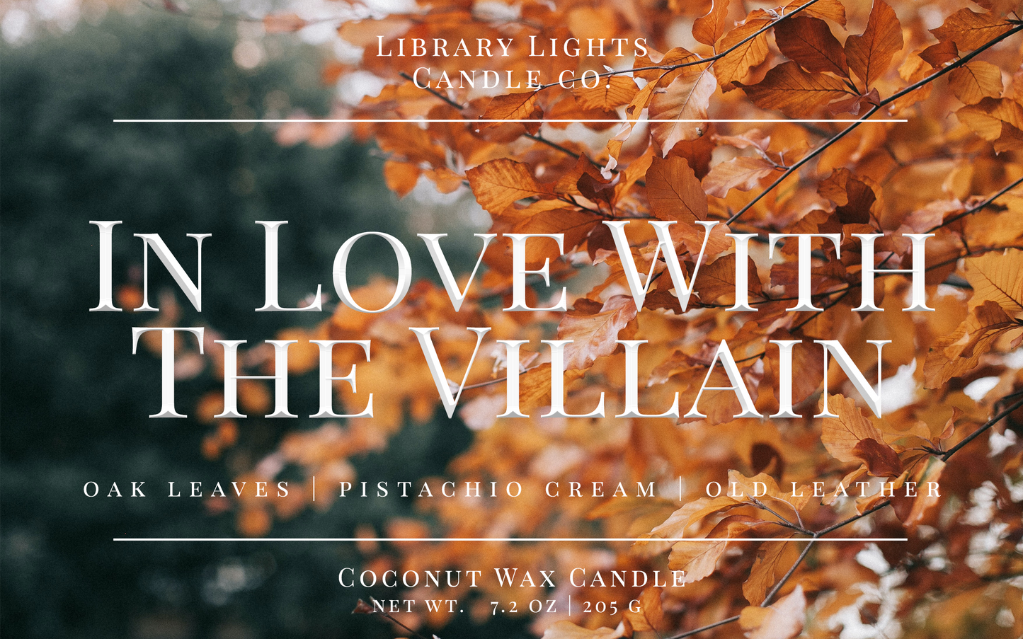 8oz Jar Candle - In Love With The Villain