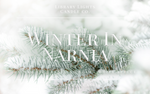8oz Jar Candle - Winter In Narnia