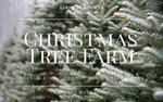 8oz Jar Candle - Christmas Tree Farm